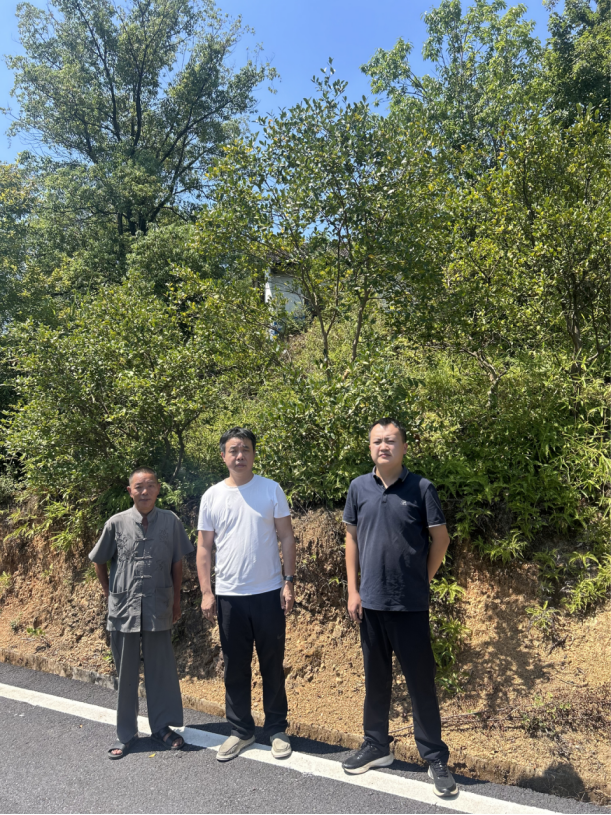 1760325029243859.png b539948f-0841-457d-a8c8-141b10281ba4.png