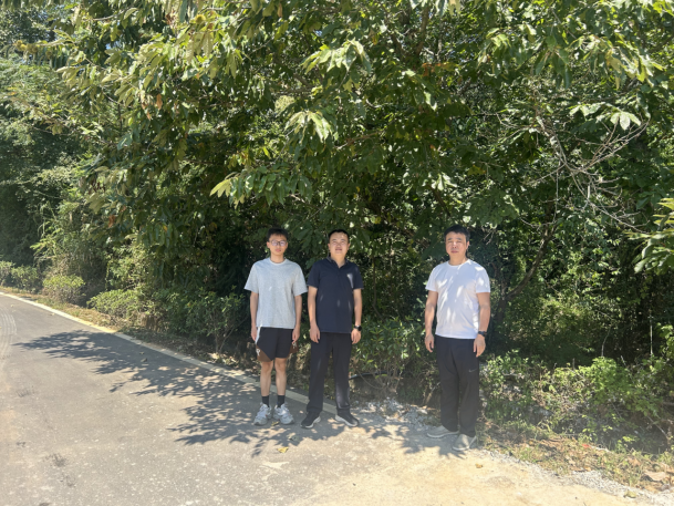 1770278572161362.png 3e31fa53-10f7-4bc5-b4dd-a546d5d91e19.png